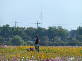 Couple with Distant Duryu Tower