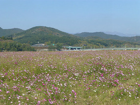 Distant Palgong Mountains