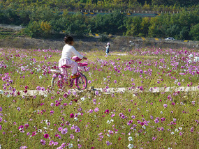 Girl on Bike