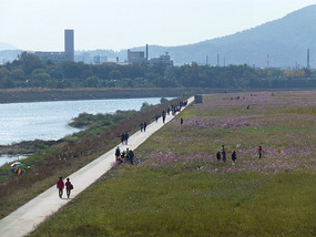 Island Walking Trail