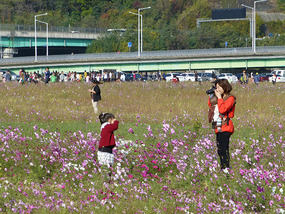 Mother Photographs Daughter