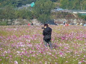 Photographer