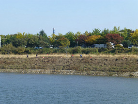 South Side Geumhogang Bike Trail