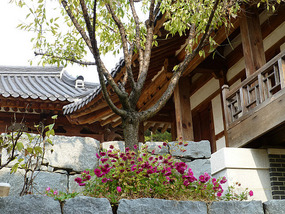 Flowerbed and Tree