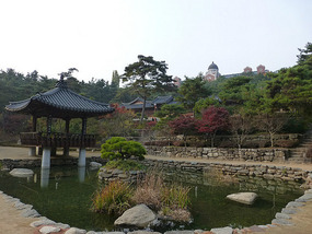 Garden Pond