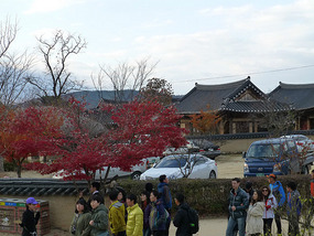 Busy with Visitors