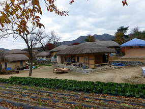 Farming by Homes