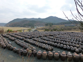 Large Pot Field