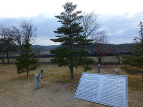 Tree Planted by Queen Elizabeth