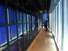 Entrance Figure Gallery