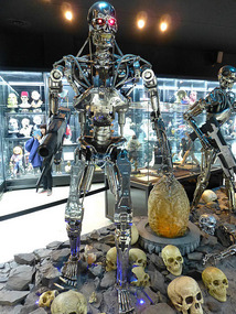 Terminator Robot