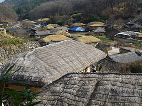 Elevated View