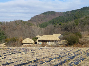 Farmland and Houses