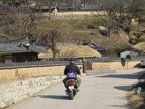 Local on Bike