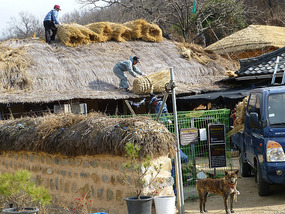 Locals Layering Roof