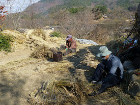 Making Straw Bails