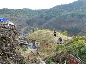 Making Thatched Roof