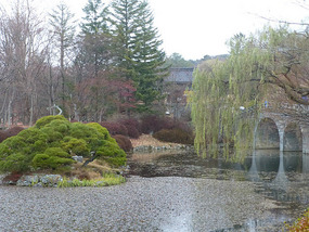 Autumn Leaves in Pond