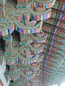 Coloured Roof Architecture