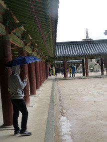 Roof Grooves Leave Rain Puddles