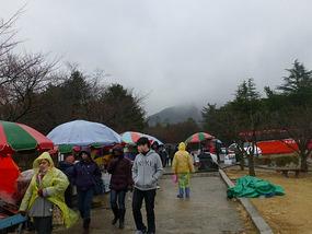 Snack Stalls