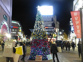 Christmas Tree by the Main Stage