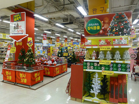 Homeplus Christmas Decorations