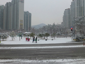 Snow Covered Street