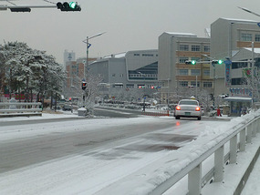 Icy Bridge