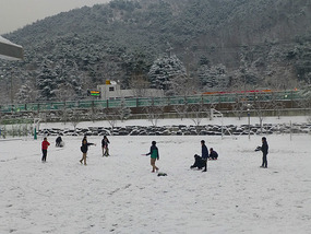 Kids Playing in Field