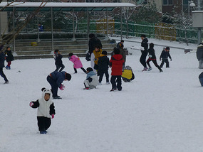 Local Elementary School