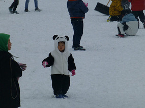 Panda Winter Coat