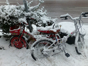 Snow Covered Bikes