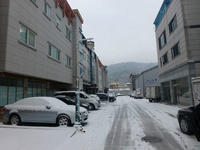 Snow Covered Street