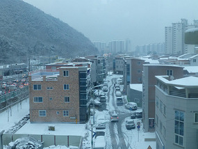Snow Panorama