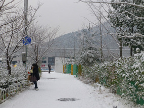 Snow Sidewalk