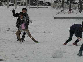 Snowfights