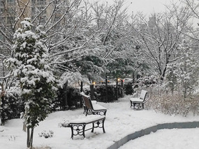 Snowy Benches