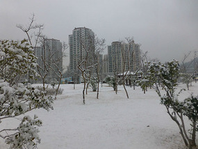 Snowy Park