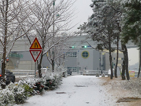 Snowy Sidewalk