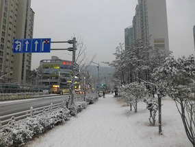 Snowy Street