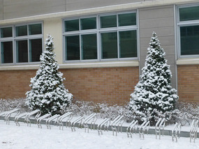 They Look Like Christmas Trees