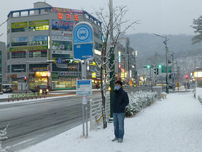 Waiting at the Bus Stop