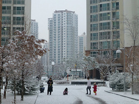 Walking in the Snow