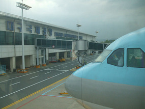 Korean Air Flight at Terminal Building