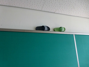 Shoes Above Board