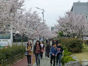 Arriving at School