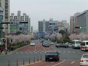 Street Full of Trees