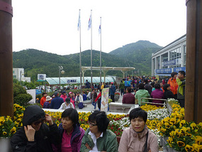 Waiting for Cable Cars