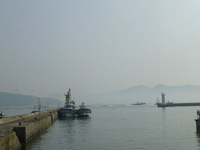 Morning at the Harbour